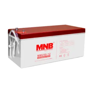 Аккумуляторная батарея MNB MM250-12
