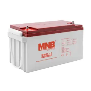 Аккумуляторная батарея MNB MM65-12