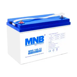 Аккумуляторная батарея MNB MNG100-12