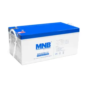 Аккумуляторная батарея MNB MNG250-12